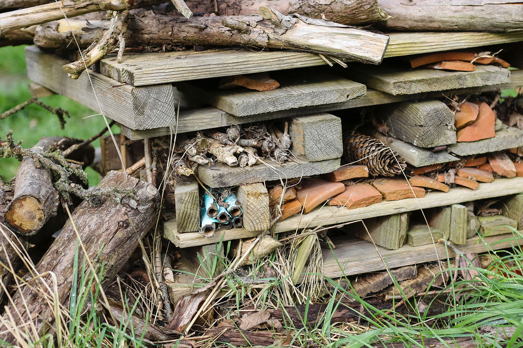 bug-hotel