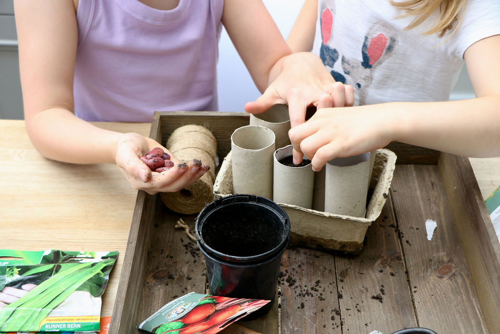 Seed sowing