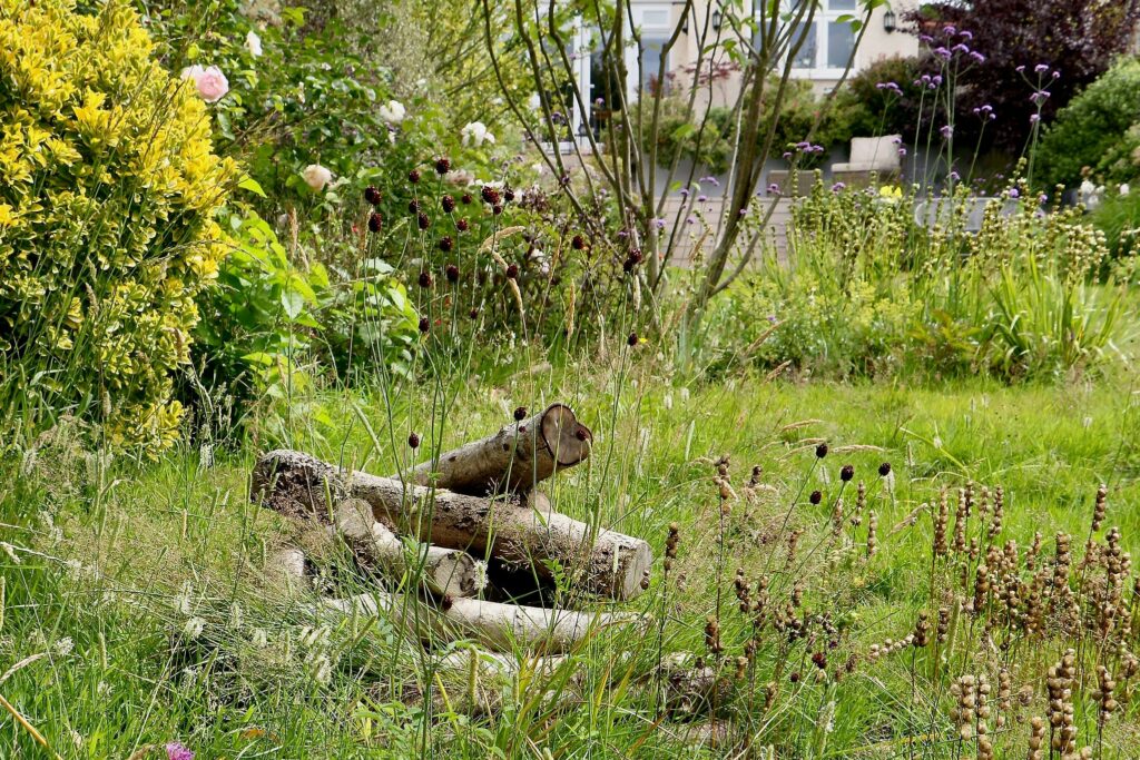 Log pile in a garden left for wildlife.