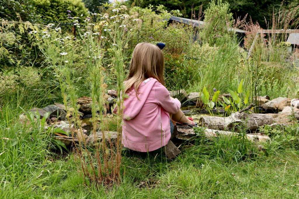 Wildlife friendly ponds are wonderful ways to engage children with wildlife too
