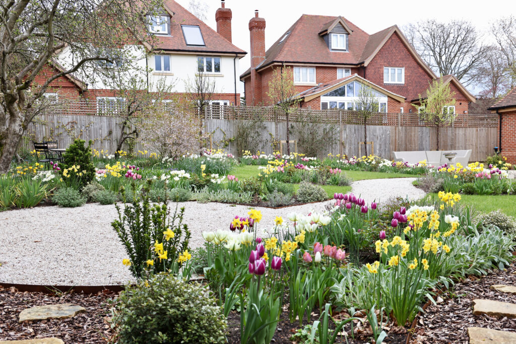 Oxted garden design showing trees planted to create privacy