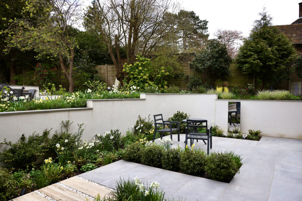 Oxted garden design - shade loving planting